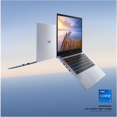 华为/HUAWEI  S540-I5  便携式计算机   YTFZ-5651SP/i5-1240P 8G+8G 512G 集显 Win11