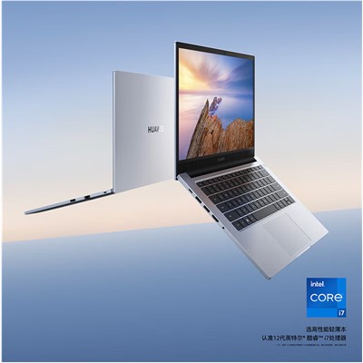 华为/HUAWEI   S540-I7  便携式计算机   YTFZ-7651S/i7-1260P 8G+8G 512G 集显 Win11